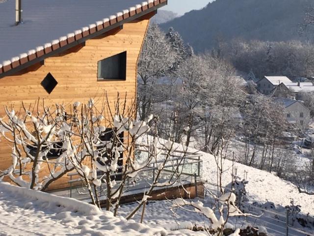 Villa Cora Venez Neuve Avec Spa Saint-Bresson Exterior photo