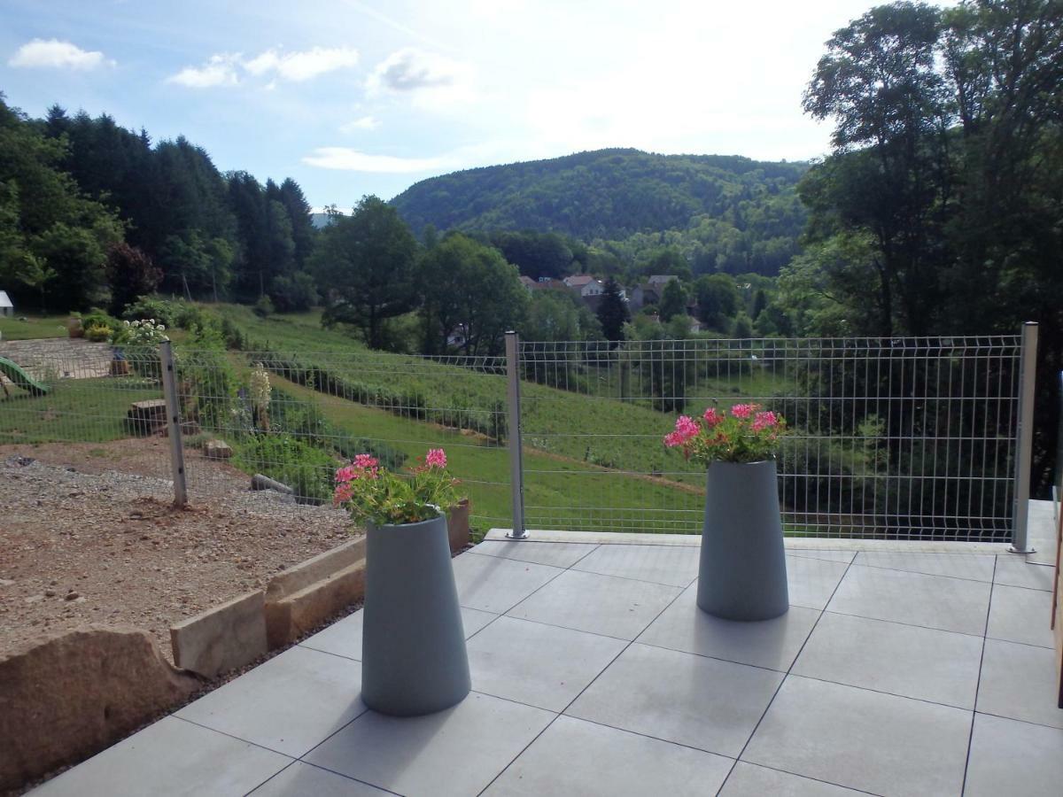 Villa Cora Venez Neuve Avec Spa Saint-Bresson Exterior photo